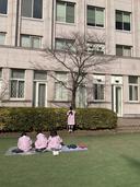 わたしの木＜冬＞