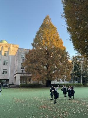 IMG_4040.jpeg