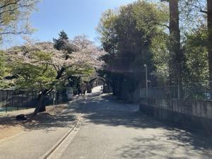IMG_7945.jpeg