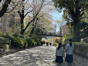 IMG_7963.jpeg