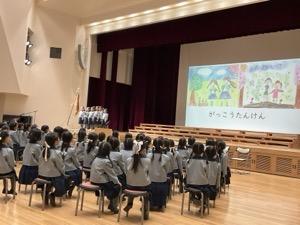 IMG_8017.jpeg