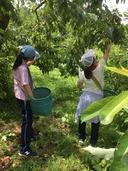 中等科３年生　東北体験学習
