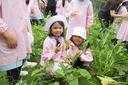 2年生　野菜の収穫