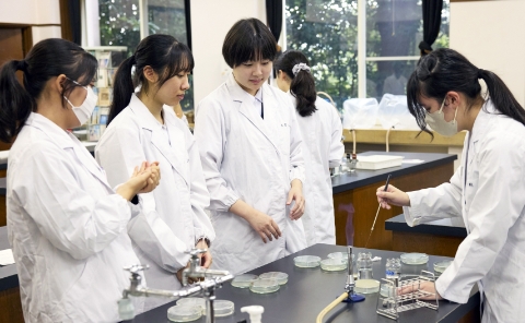 聖心女子学院の4-4-4制 | 聖心女子学院