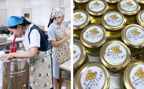 養蜂を通して行うSTEM教育
